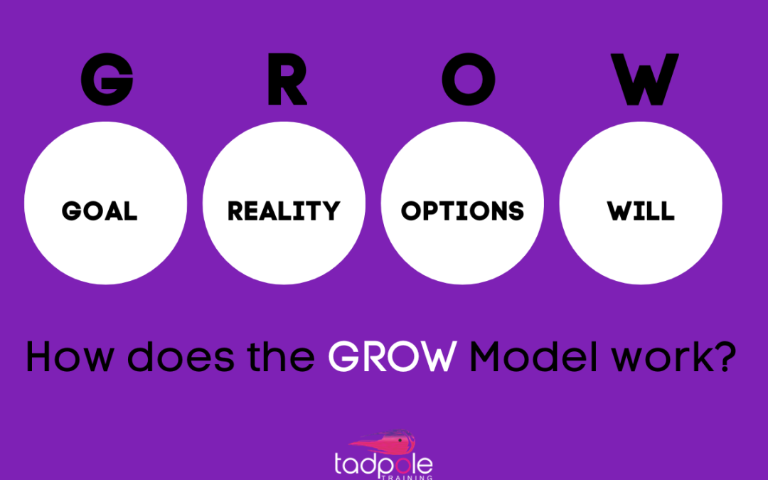 Which questions to ask when using The GROW Coaching Model